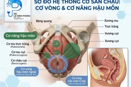 Thu Cơ Âm Đạo