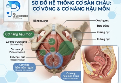 Thu Cơ Âm Đạo